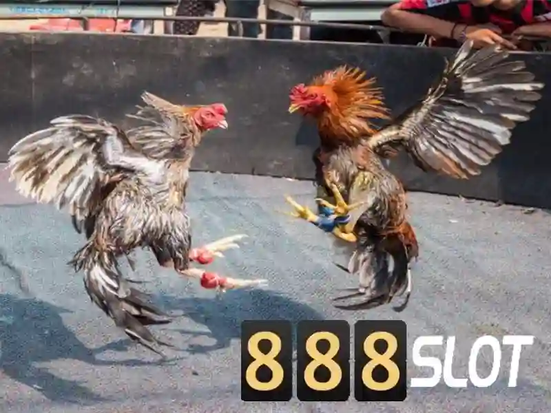 Slot 888 trực tuyến