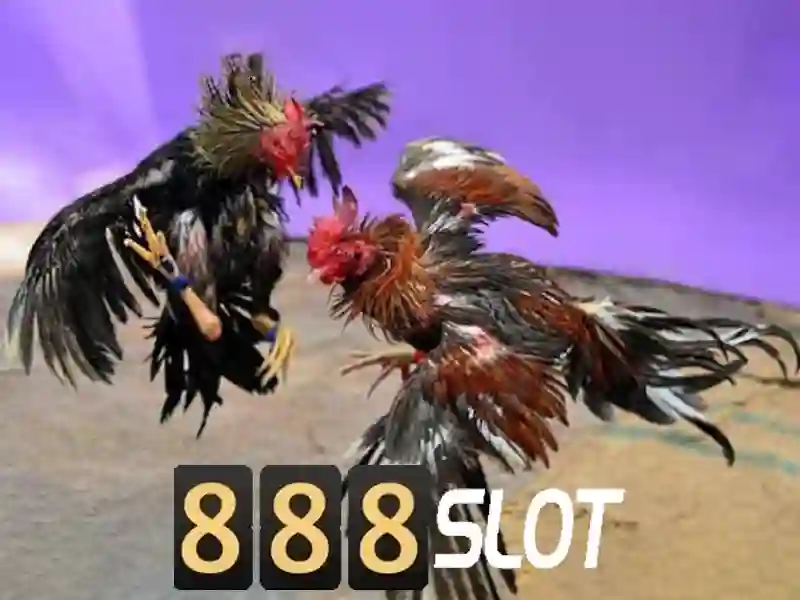 Đa Dạng Trò Chơi Slot
