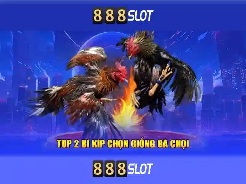 Thiết kế giao diện trực quan