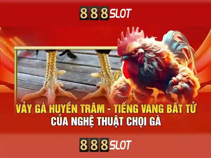 Tại Sao Nên Theo Dõi Tag