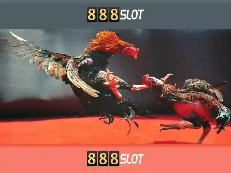 slot 24h