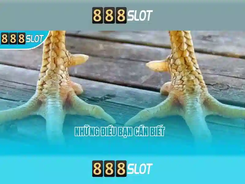 Slot 888SLOT