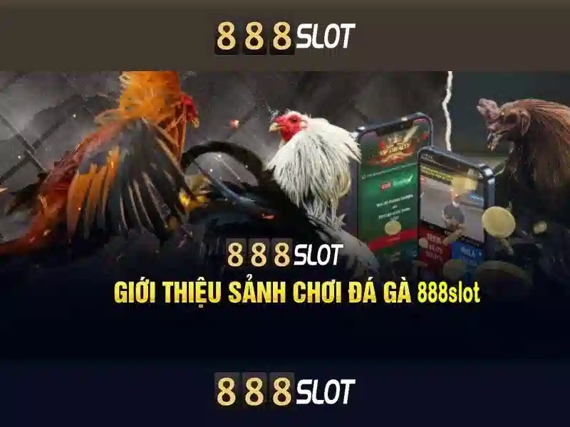 Quy Định Tài Khoản 888slot