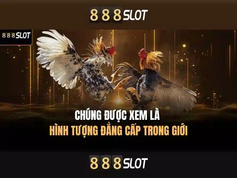 hướng dẫn chơi