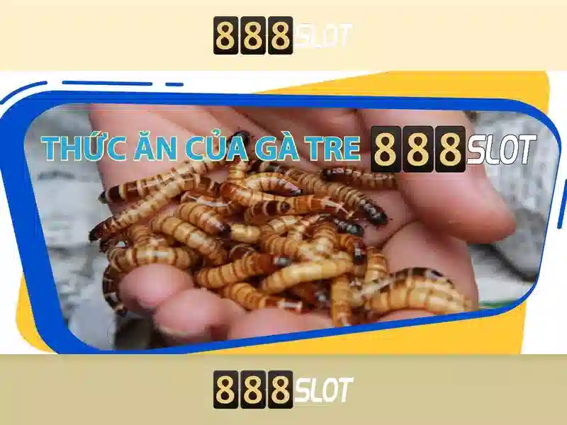 Ưu điểm của 888slot apk