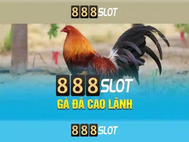 quản lý rủi ro 888slot
