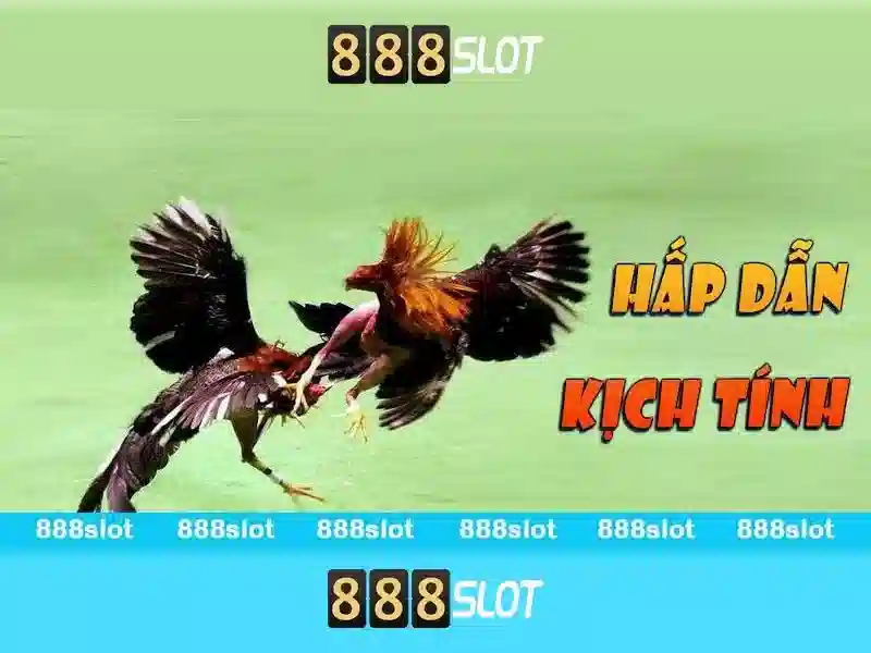 Trải nghiệm slot đỉnh cao 888SLOT