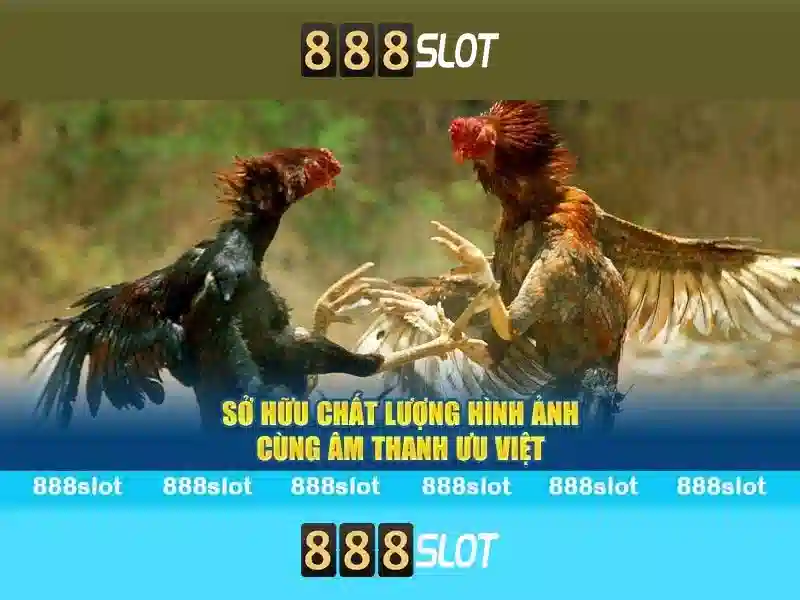 Trải nghiệm slot vip
