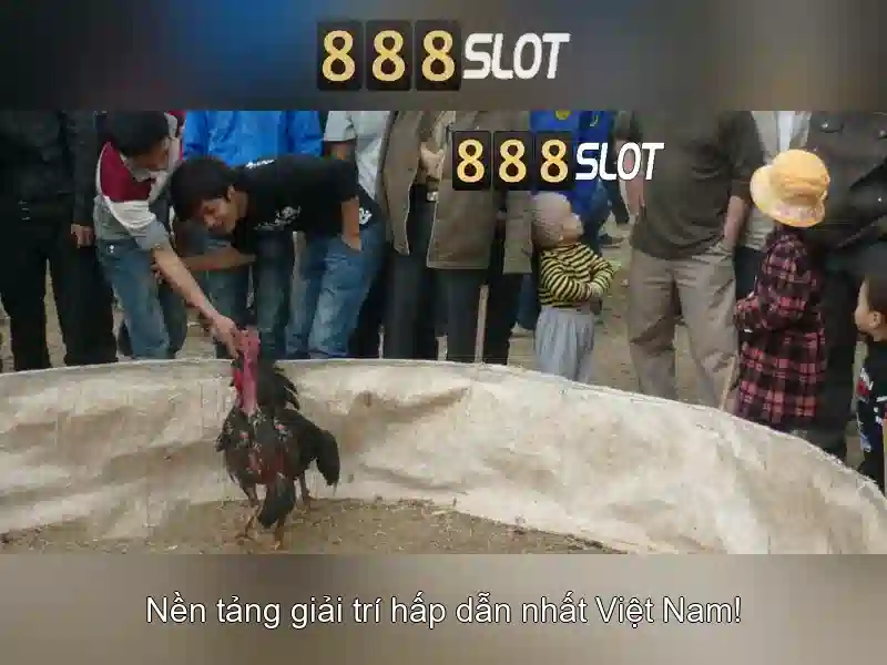 TÂN BINH 2026