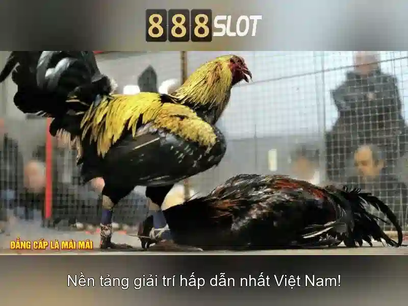 Giới Thiệu Về 888slot
