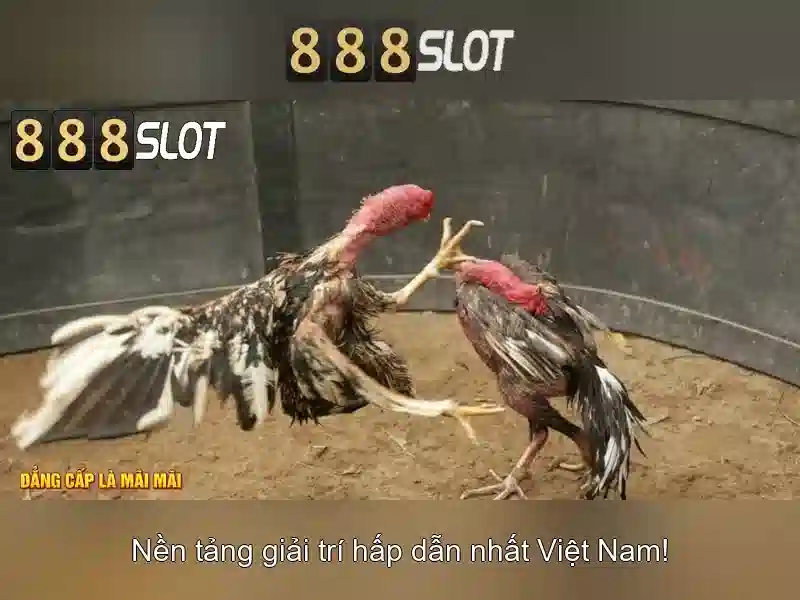 Tải 888slot APK