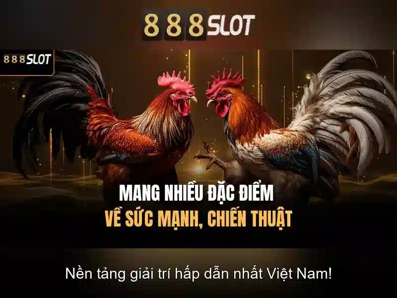 Trải nghiệm Slot đỉnh cao