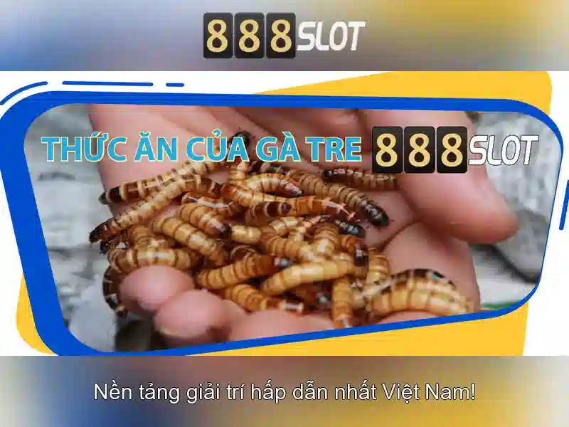 Slot 3D