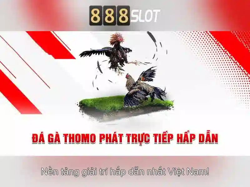 Trách Nhiệm Người Chơi
